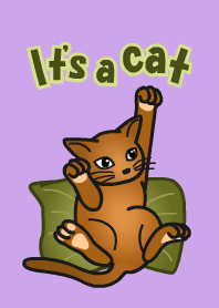 Theme of Cats