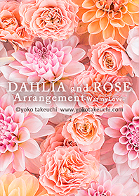 DAHLIA and ROSE Arrangement -WarmyLove-