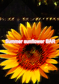 Summer sunflower BAR