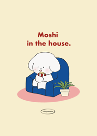 Moshi in the house