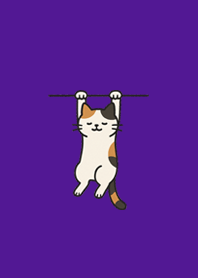 Hanging Cat | Purple Chill Time#1