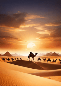 Desert sunset   03A659