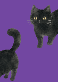 A unique cat06 purple