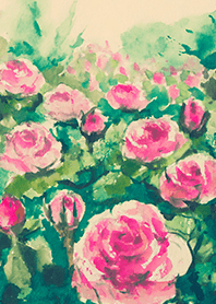 Beautiful rose flower(R4276)