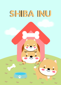 Cute Shiba Inu Dog Theme