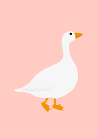 ドワーフガチョウ！かわいい（ピンク）