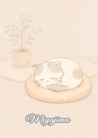 Cozy Lazy Cat: Miyajima