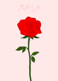 a rose(red)