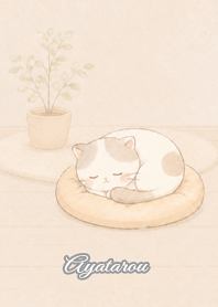 Cozy Lazy Cat: Ayatarou