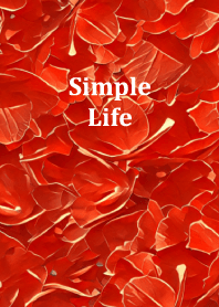 Simple Life 16 (for the world)