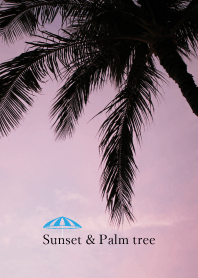 sunset and palm tree 15