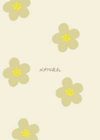 Floral pattern colorful9 from Japan