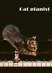 Cat pianist