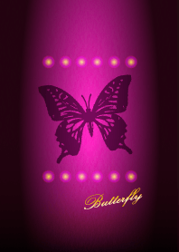 A simple butterfly butterfly