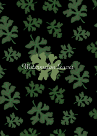 Watermelon leaves
