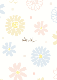 Spring blooms Square25 from Japan