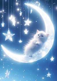 星月銀河貓❤️