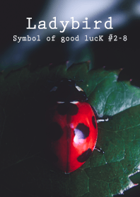 Ladybird Symbol of good luck #2-8
