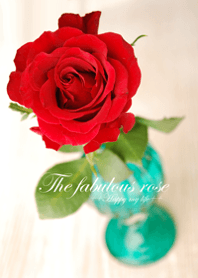 The fabulous rose