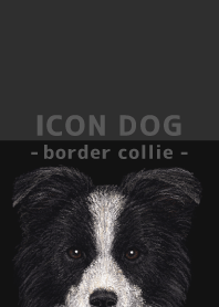 ICON DOG - Border Collie - BLACK/05