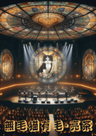 Meow's concert4_lb- Hairless Cat has Fur