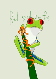 Red-eyed tree frog 2