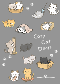 Cozy, Sweet & Fluffy Kittens