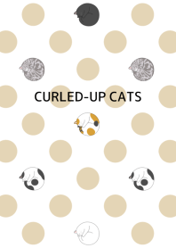 CURLED-UP CATS