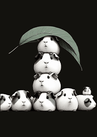 葉子天竺鼠(黑款)