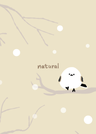 Long-tailed Tit snow13 from Japan