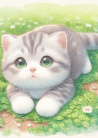 น้องแมว น่ารัก no.66