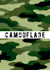 CAMOUFLAGE THEME 42