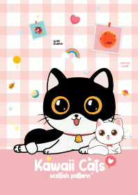 แมวเหมียว ลายสก๊อต สีชมพู
