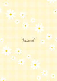 Daisy diagonally17 from Japan