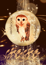 Luck Up [Moon Power*Barn Owl]