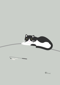CATS / Tuxedo cat