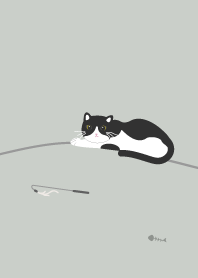 CATS / 小貓喵喵