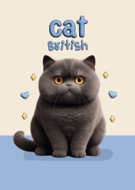 Cat black : blue