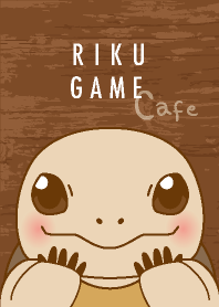 可愛いリクガメcafe