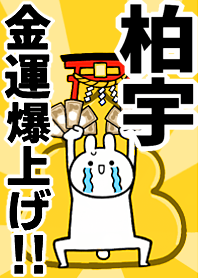 Fortune rise rabbiit[Baiyu-]