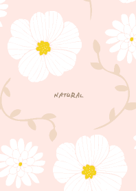 White flowers ivy19 from Japan