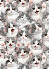 น่ารัก! แมวมินูเอต