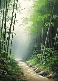 Bamboo Forest Path