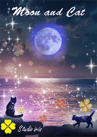 運気上昇 猫と満月