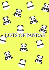 LOTS OF PANDAS/LIME YELLOW