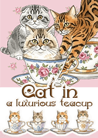 Cat in a luxurious teacup