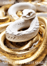 Golden White Snake of Luck 40