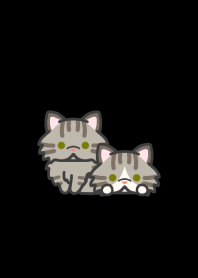 キジトラ猫＊ダークモード＊短頭種＊長毛