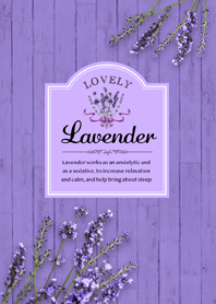 Lovely lavender purple