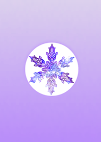 Snow Light Purple @ Winter Feature